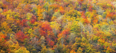 Linde_Angebote_Paket-Herbstzauber-2024_1400x650px